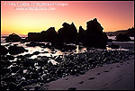 Picture: Footprints in sand beach at sunset at Luffenholtz Beach, near Trinidad, Humboldt County, California