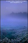 Picture: Moonset and morning mist in the flats between Arcata and Manila Humboldt County, CALIFORNIA