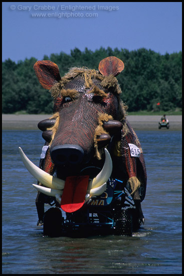 Photo: Kinetic scuplpture Crossing of the Eel River, near Ferndale The Great Kinetic Sculpture Race Humboldt County, CALIFORNIA