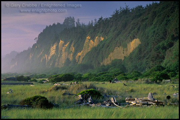 Photo: Gold Bluffs Beach, Prairie Creek Redwoods State Park, Humboldt County, CALIFORNIA