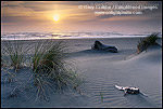 Photo: Sunset at Gold Bluffs Beach, Prairie Creek Redwoods State Park, Humboldt County, CALIFORNIA