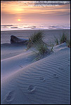 Photo: Footprints in sand at sunset, Gold Bluffs Beach, Prairie Creek Redwoods State Park, Humboldt County, CALIFORNIA 