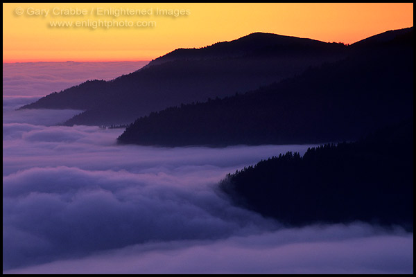 Photo: Fog at sunset along the coastal cliffs of the King Range, Lost Coast, near Shelter Cove, Humboldt County, CALIFORNIA