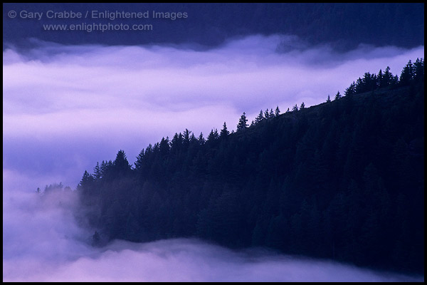 Photo: Evening fog along the coastal cliffs of the King Range, Lost Coast, near Shelter Cove, Humboldt County, CALIFORNIA