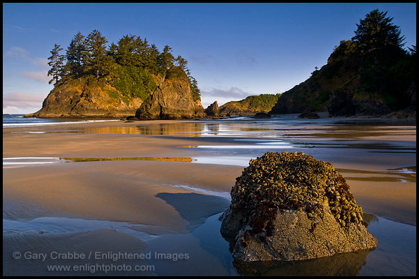 Photo: Morning Light on Pewetole Island, Trinidad State Beach, Humboldt County, California