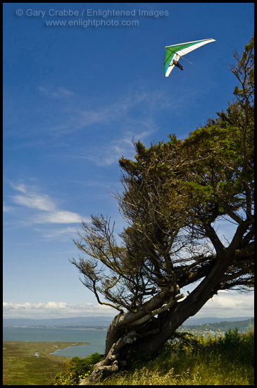 Photo: Hang glider over Humboldt Bay at Table Bluff, Humboldt County, California