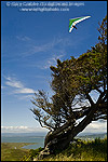 Photo: Hang glider over Humboldt Bay at Table Bluff, Humboldt County, California