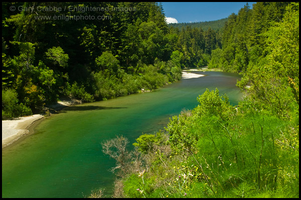 Photo: The Eel River, along the Avenue of the Giants, Humboldt County, California