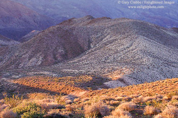Morning light in the high mountain desert near Dantes View, Death Valley National Park, California