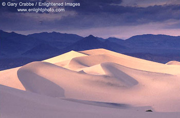 Sunlight on sand dunes after a spring storm, Death Valley National Park, California