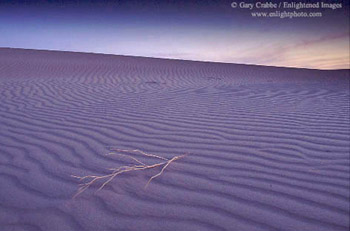 Evening light over sand dunes, Algodones Dunes Wilderness, Imperial County, California