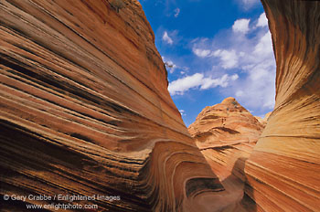 Sandstone formations at The Wave, Vermilion Cliffs National Monument, Arizona