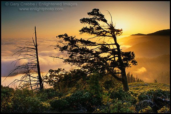 Photo: Sunset and fog on the Lost Coast, Humboldt County, California