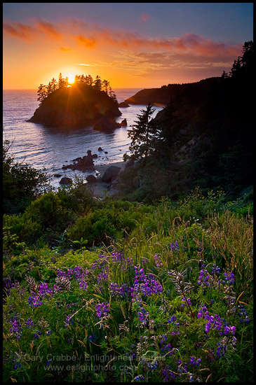 Picture: Sunset over Trinidad State Beach, Humboldt County, California