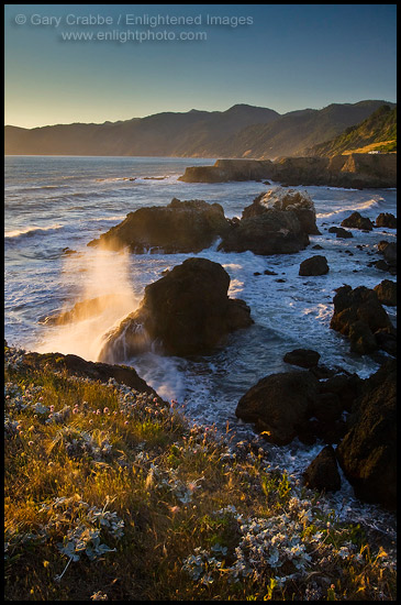 Picture: Wave crashing at sunset on the Lost Coast, Shelter Cove, California