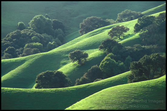 Picture: Rolling green hills and oak trees in Spring, Briones Regional Park, California