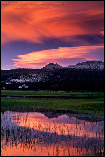 Picture: Alpenglow on Lenticular Clouds at sunset, Tuolumne Meadows, Yosemite National Park, California