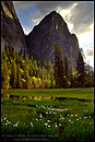 Picture: Yosemite Valley in Spring, Yosemite National Park, California