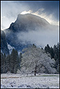 Picture: Cloud streaming off Half Dome after a winter storm, Yosemite National Park, California
