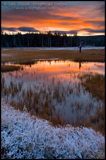 Picture: Autumn sunrise over pond, Yellowstone National Park, Wyoming