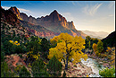 Picture: Virgin River & The Watchman in Fall, Zion National Park, Utah