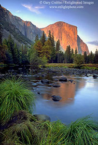 Alpenglow on El Capitan at sunset reflected in the Merced River, Yosemite Valley, Yosemite National Park, California