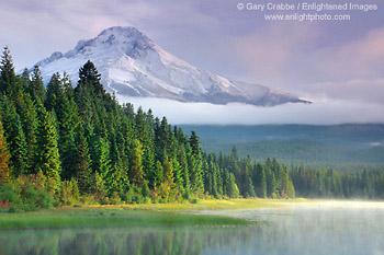 Forest and fog bank below Mount Hood on a stormy fall morning, Trillium Lake, Mount Hood National Recreation Area, Oregon