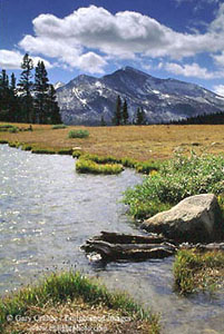 Alpine tarn and meadow on Tioga Pass, below Mammoth Peak, Yosemite National Park, California