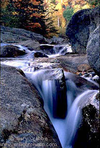 Fall Colors above Stream in the Glen Ellis Falls Area, White Mountains, New Hampshire