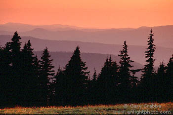 Sunset over backlit evergreen trees and scenic, distant rolling hills, from the rim of Crater Lake, Crater Lake National Park, Oregon