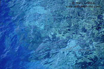 Underwater cliff reveals the deep blue crystal clear color of Crater Lake, Crater Lake National Park, Oregon