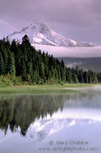 Mount Hood volcano reflected in Trillium Lake on a stormy morning, Mount Hood National Recreation Area, Oregon