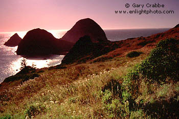 Sunset over the Pacific Ocean from coastal cliffs near the Three Sisters, near Gold Beach, Southerm Oregon Coast