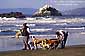 All we need is Love - Walking the dogs on Ocean Beach, San Francisco, California