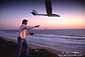 Launching a radio-controlled model glider over the ocean at sunset, Carlsbad, California