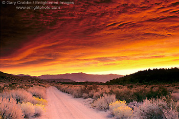 Alpenglow on storm clouds over dirt road at sunrise in the Eastern Sierra, near Bishop, California