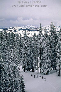 Group of cross country skiers ascending towards a mountain pass during a winter snow storm, near Lake Tahoe, High Sierra, California