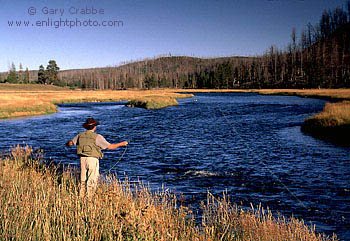 Fly fishing at sunset along scenic river bend, Madison River, Yellowstone National Park, Wyoming