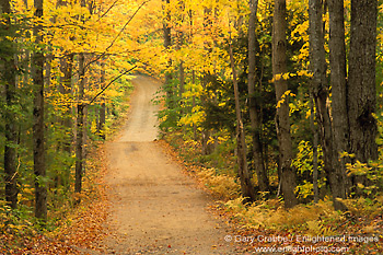 Photo: Fall Colors along Dirt Road, White Mountains, New Hampshire