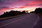 Image: Red cloud sunset over curved road, Skyline Blvd., Oakland Hills, California