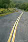 Picture: No passing lane double yellow lines on rural road in spring, Tehema County, California