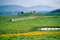 Picture: Truck driving on dirt road through green fields in spring, Sierra Foothills, California