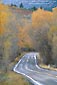 Photo: Fall colors on trees along curved two lane road near Telluride, Colorado