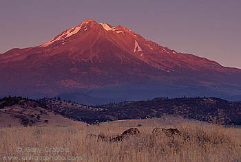 Sunset Light on the West Face of Mount Shasta volcano, near Weed, Siskiyou County, Northern California