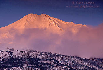 Alpenglow at sunset on Mount Shasta volcano after a winter storm, near Weed, Siskiyou County, Northern California