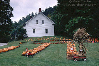 Pumpkins displayed in fall in front of colonial house, Berkshire region, Vermont