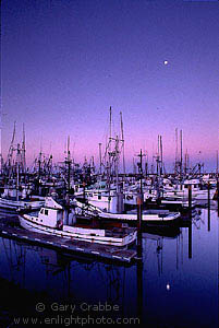 Moonset at dawn over commercial fishing boats in the Crescent City Harbor, Del Norte County, California