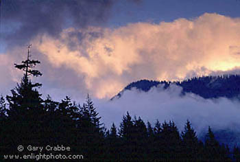 Clearing storm clouds part at sunset over a forest in the Pacific Northwest, near Vancouver, British Columbia, Canada