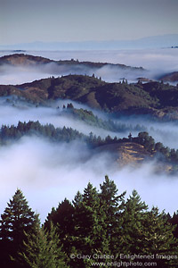 Coastal fog rolls in over forested slopes near Mount Tamalpais, Marin County, California