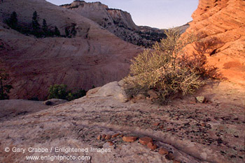 Last light above stones on a mesa along the Zion - Mount Carmel Highway, Zion National Park, Utah
